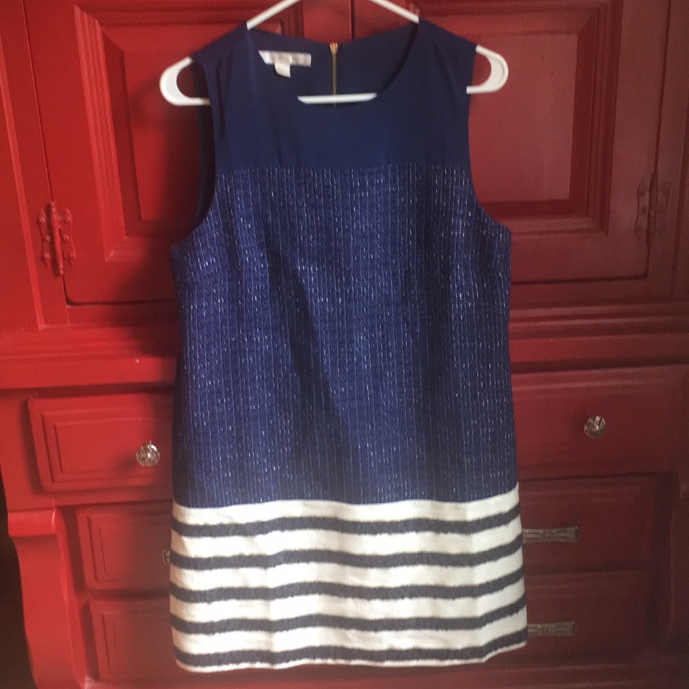 Boston Proper Navy and White Dress